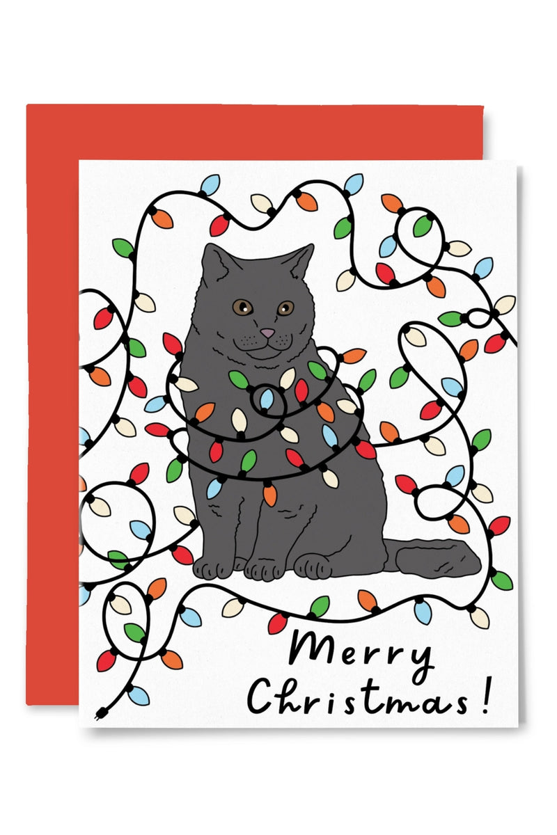 Illustrating Amy Greeting Cards - Festive Cat Christmas Card
