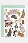 Illustrating Amy Greeting Cards Happy Birthday Cats