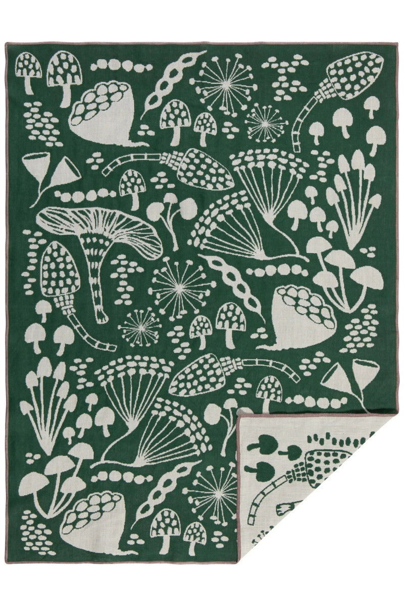 Double Cloth Dishtowel - Wildgrove