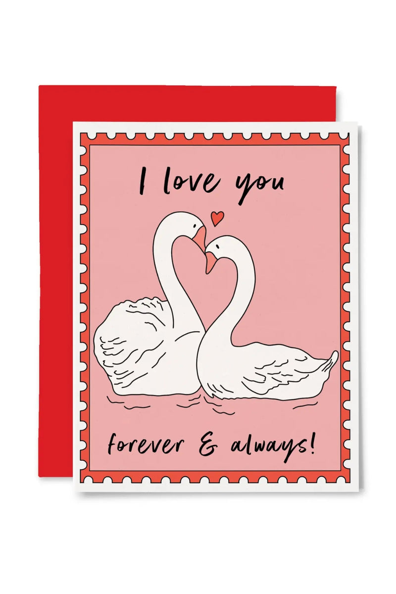 Illustrating Amy Greeting Cards Forever & Always Swans