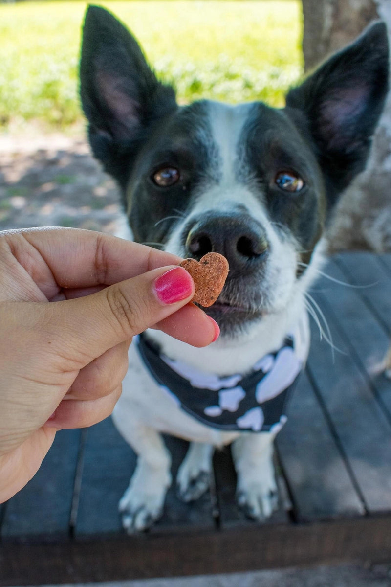 Botanical Bones Dog Treats Love Bites