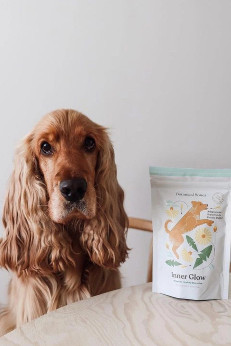 Botanical Bones Dog Treats Inner Glow