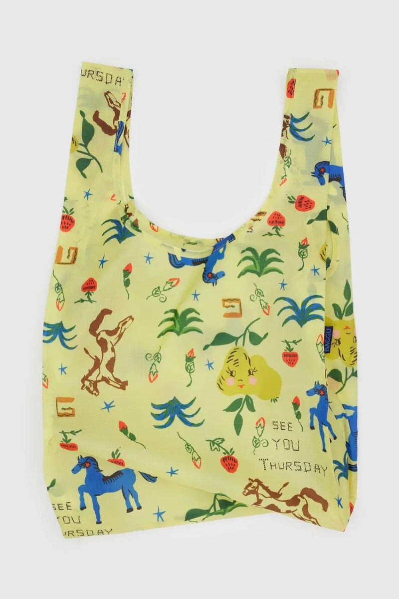 Standard Baggu - Painted Prairie