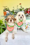 Botanical Bones Dog Treats Flower Power