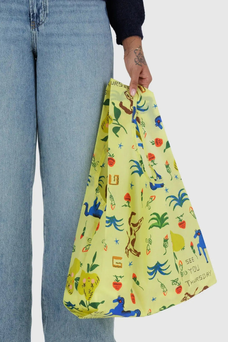 Standard Baggu - Painted Prairie