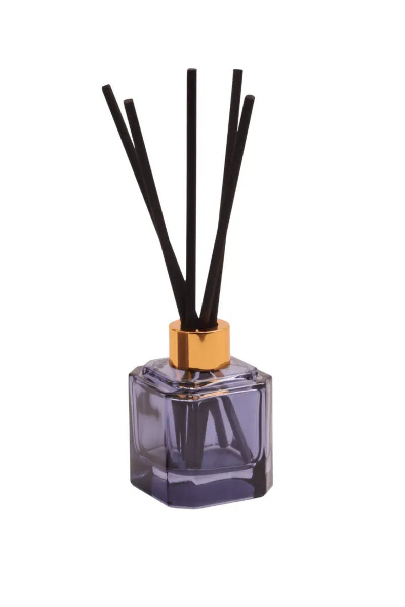 Paddywax Botanica Diffuser - Sea Salt & Amber