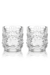 VISKI Crystal Tiki Glass