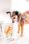 Botanical Bones Dog Treats - Inner Glow