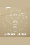 P.F. Candle Co. 3.5oz Mini Soy Candle - Wild Herb Tonic