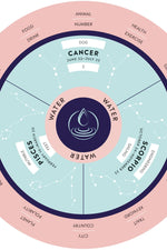 Parkers' Astrology Deluxe Box Set