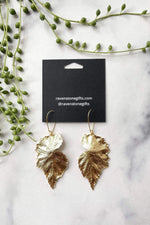 Ravenstone Begonia Leaf Earrings - Gold