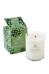 The Soap & Paper Factory Roland Pine Votive Soy Candle