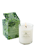 The Soap & Paper Factory Roland Pine Votive Soy Candle
