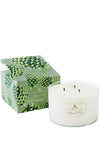 Soap & Paper Factory Rland Pine Three-Wick Soy Candle